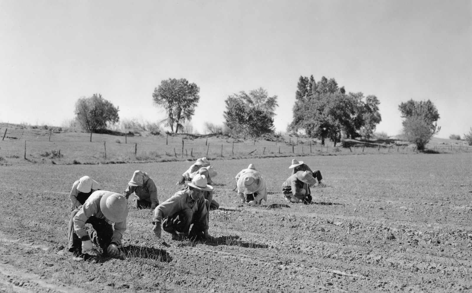 Community members at a training session on the farm