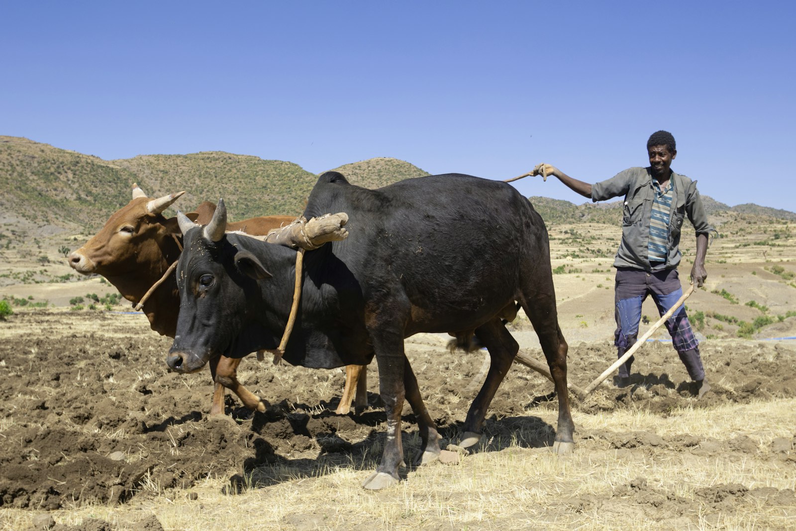 A farmer at work at Nyaluwe Farms
